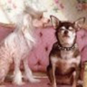 Meet your Posher, Laurie